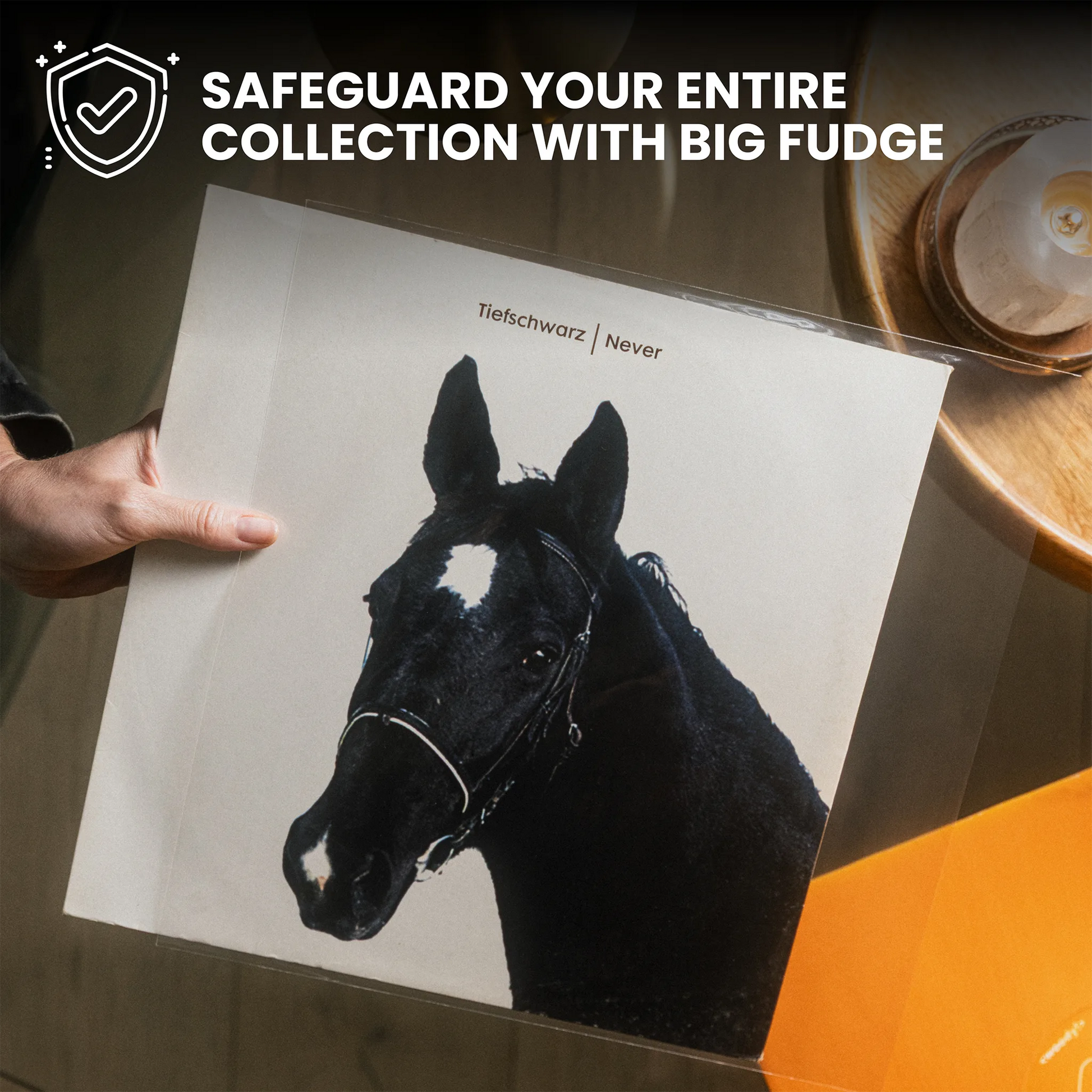 Person holding a card with a horse's face on it, with text about safeguarding collections with Big Fudge. _10 inch _12 inch