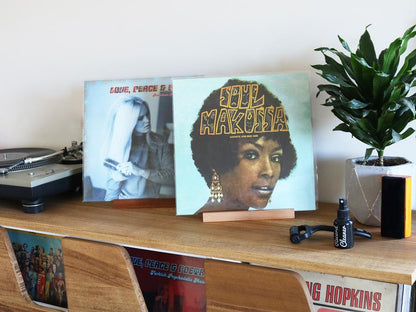 Vinyl Record Display Stand